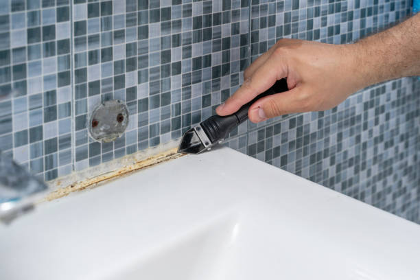 Best Local Mold Removal Service  in Port Oconnor, TX
