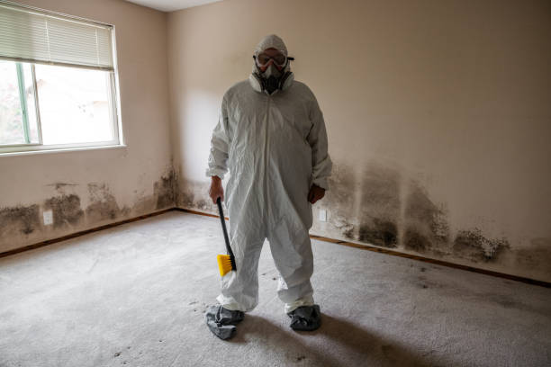 Best Toxic Mold Removal  in Port Oconnor, TX