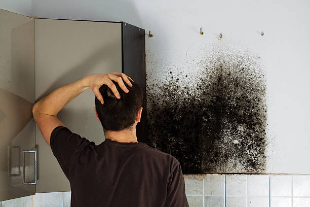 Best Certified Mold Removal  in Port Oconnor, TX